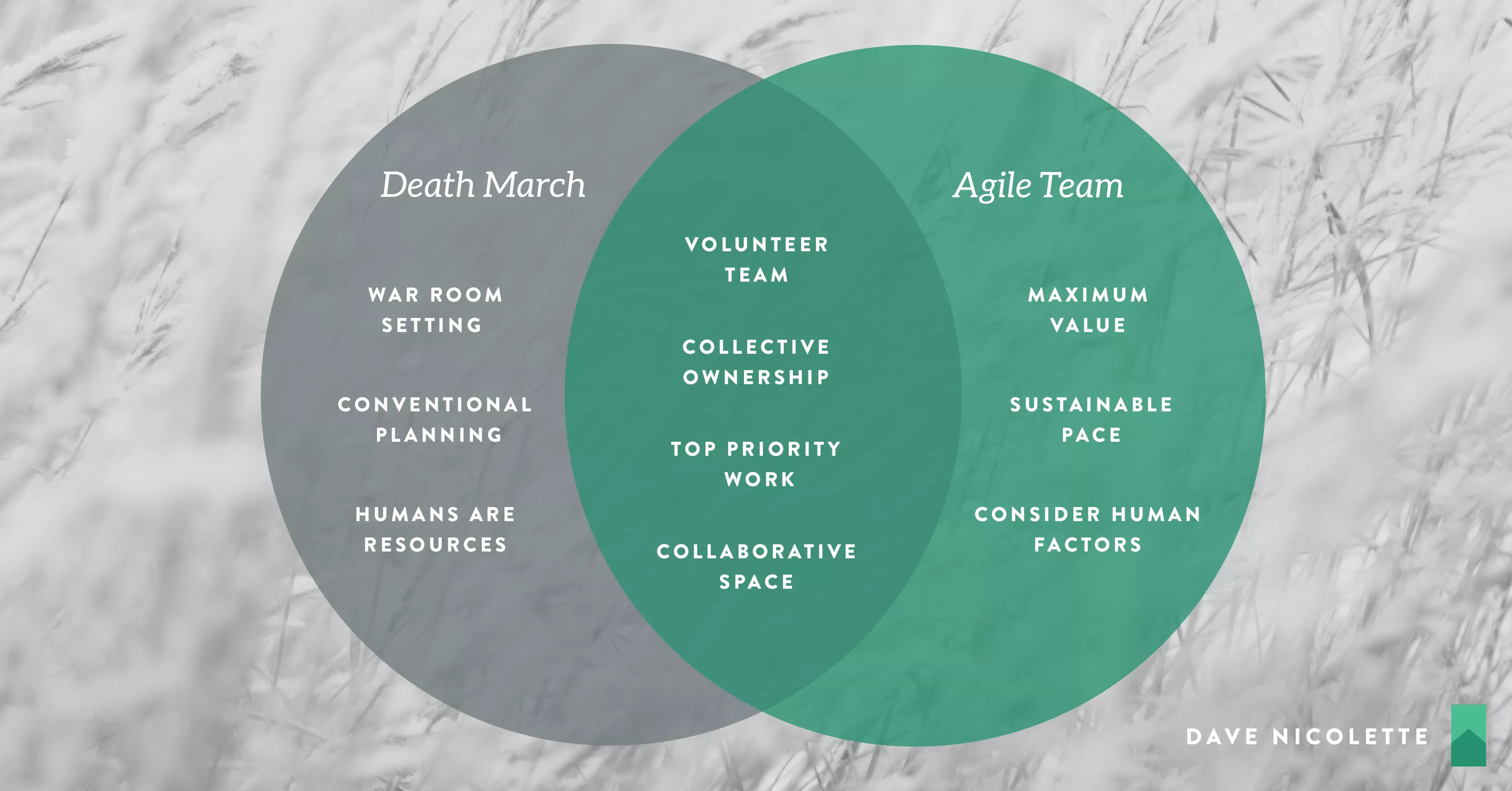 Death March Project: The Agile Death March