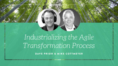 Industrializing the Agile Transformation Process