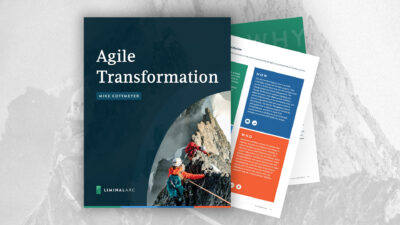 An Executives Guide to Agile Transformation